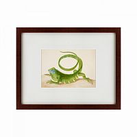 картина: green iguana, 1701 в Рязани