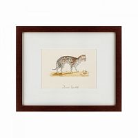 картина: an ocelot, 1801 в Рязани