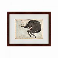 картина: signs of zodiac taurus, 1825 в Рязани