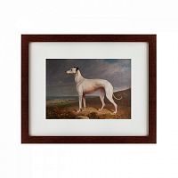 картина: portrait of a greyhound, 1744 в Рязани