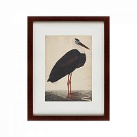 картина: black stork in a landscape, индия, 1780 в Рязани