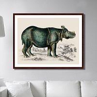 картина: rhinoceros, 1774г. в Рязани