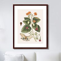 картина: beauty bloom №4, 1732г. в Рязани