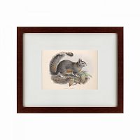 картина: the squirrel, 1879 в Рязани