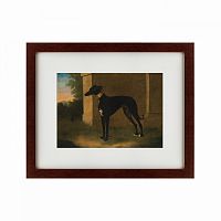 картина: portrait of a greyhound called pompon, 1746 в Рязани