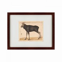 картина: moose, 1560 в Рязани