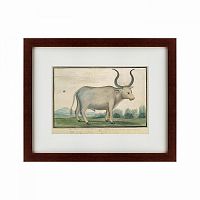 картина: cape ox, 1778 в Рязани