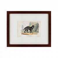 картина: a caracal or lynx, 1830 в Рязани