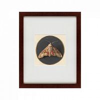 картина: owlet moth, 1700 в Рязани